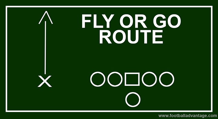 Diagram of a go/fly route